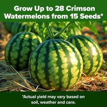 50+pcs Watermelon Seeds for Planting for Home Gardens & Outdoors