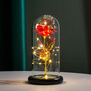 LED Enchanted Galaxy Rose Eternal 24K Gold Foil Flower with String Lights In Dome for Home Decor Christmas Valentine's Day Gift