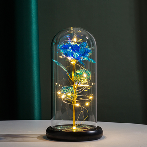 LED Enchanted Galaxy Rose Eternal 24K Gold Foil Flower with String Lights In Dome for Home Decor Christmas Valentine's Day Gift