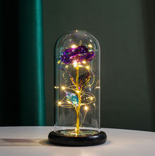 LED Enchanted Galaxy Rose Eternal 24K Gold Foil Flower with String Lights In Dome for Home Decor Christmas Valentine's Day Gift