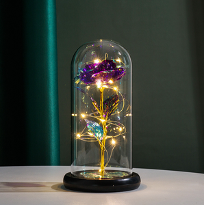 LED Enchanted Galaxy Rose Eternal 24K Gold Foil Flower with String Lights In Dome for Home Decor Christmas Valentine's Day Gift