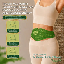Japanese Herbal Patch Pad Balance Patch, Pro-Series Botanical Warming Stickers - Targeted ThermalSupport for Active Lifestyles (5pcs) HN0002