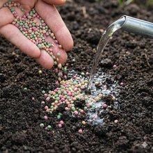 Granular Boron Calcium Magnesium for Indoor & Outdoor Plants – Long Lasting Plant Food for Flowers, Vegetables & Houseplants