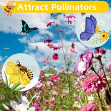 10000 PCS (Moss Rose) Seeds -Mixed Double Portulaca Grandiflora Seeds Planting Ornaments Perennial Garden