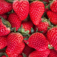 800+Pcs Strawberry Fruit Seeds for Planting Home Garden Outdoor