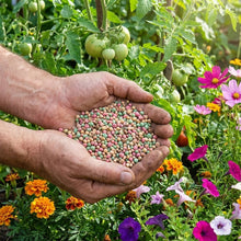 Granular Boron Calcium Magnesium for Indoor & Outdoor Plants – Long Lasting Plant Food for Flowers, Vegetables & Houseplants