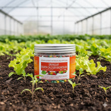 Granular Boron Calcium Magnesium – , seedlings, and garden plants.