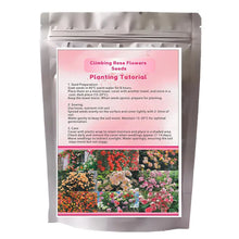 200PCS Climbing Rose Seeds Mixed - Non-GMO Perennial Vine Flower for Garden Decor, Easy to Plant Outdoor Blooming Seeds for DIY Gardeners