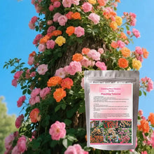 200PCS Climbing Rose Seeds Mixed - Non-GMO Perennial Vine Flower for Garden Decor, Easy to Plant Outdoor Blooming Seeds for DIY Gardeners
