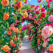 200 Pcs Climbing  rose seeds can be planted four seasons to kind cold and heat resistance