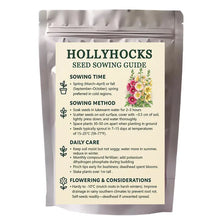 200 PCS Hollyhock Seed Mix  seeds for Planting Showy Perennial Flower Multicolor Mixture