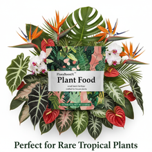 All Purpose Plant Food - Fertilizer For All Indoor or Outdoor Plants including Roses, Flowers, Vegetables, Houseplants, Trees, and Shrubs