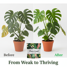 All Purpose Plant Food - Fertilizer For All Indoor or Outdoor Plants including Roses, Flowers, Vegetables, Houseplants, Trees, and Shrubs