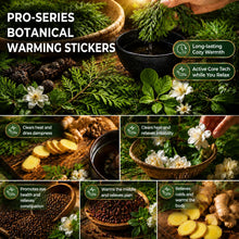 Japanese Herbal Patch Pad Balance Patch, Pro-Series Botanical Warming Stickers - Targeted ThermalSupport for Active Lifestyles (5pcs) HN0002
