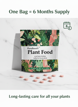 All Purpose Plant Food - Fertilizer For All Indoor or Outdoor Plants including Roses, Flowers, Vegetables, Houseplants, Trees, and Shrubs
