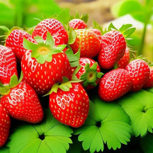 800 PCS  Garden Strawberry Sweet and Delicious Fruit Seeds