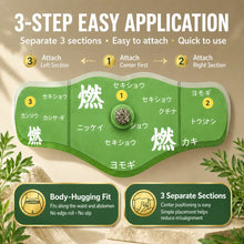 Japanese Herbal Patch Pad Balance Patch, Pro-Series Botanical Warming Stickers - Targeted ThermalSupport for Active Lifestyles (5pcs) HN0002