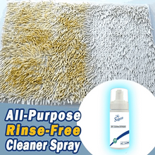Rinse-free All-purpose Fabric Foam Cleanser