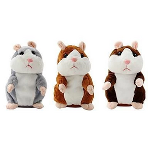 Talking Hamster