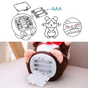 Talking Hamster