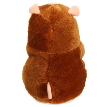 Talking Hamster