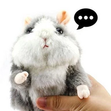 Talking Hamster